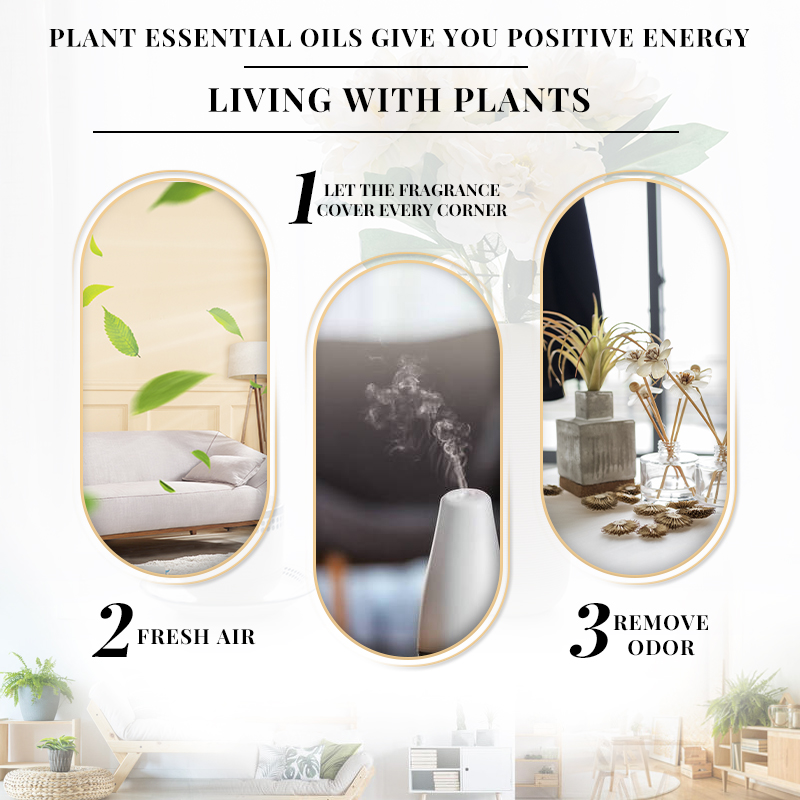 EVOKE Jasmine Fragrance 100ml  - Perfume Fragrance Enhancer ulasan dan harga